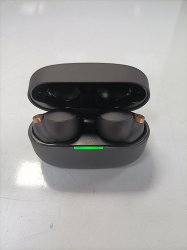 Sony 1000xm4 ear - wf-1000xm4, in-ear